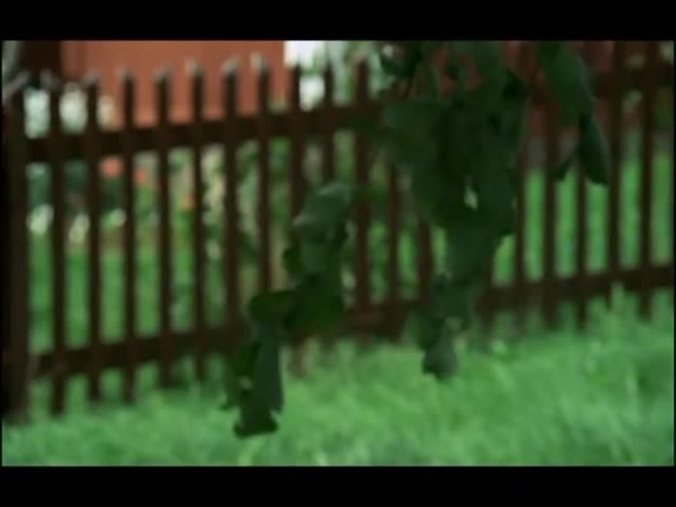 Michel Aus Lönneberga Intro (Deutsch)