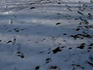 gamelle en luge de Sailor Haute Savoie