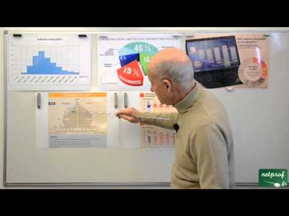 08 Statistiques Seconde : Rep graphiques d'une série statistique et d'une série chronologique