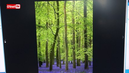 Test du Acer Revo One : le meilleur mini PC du moment