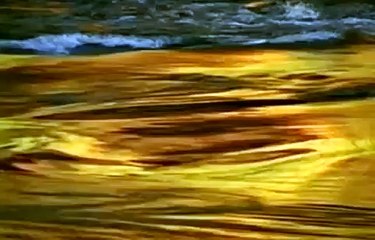 夜上海 Shanghai Night Scenery