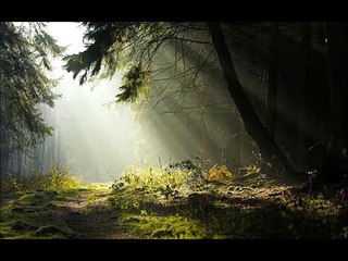 Mimoza Çiçeği--Piano Keman-Enstrumantal