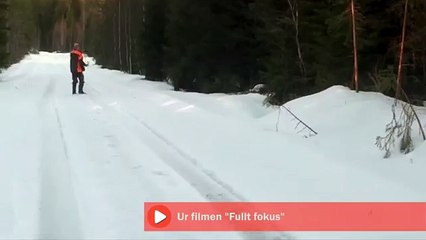 Swedish man scares bear