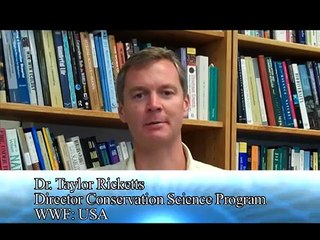 GEO: Biodiversity Observation Network showcase