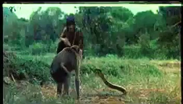 Snake Vs Monkey horrible fighting