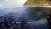 イルカの住む島・御蔵島　Dolphin Island Mikurajima