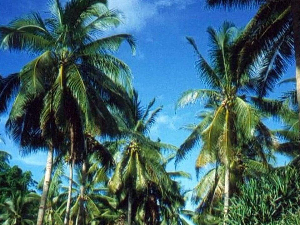 Futuna (Wallis et Futuna )