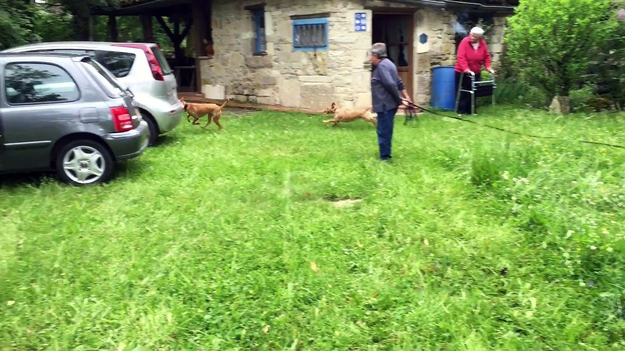 Aitch and Paty run around the garden at Caylus