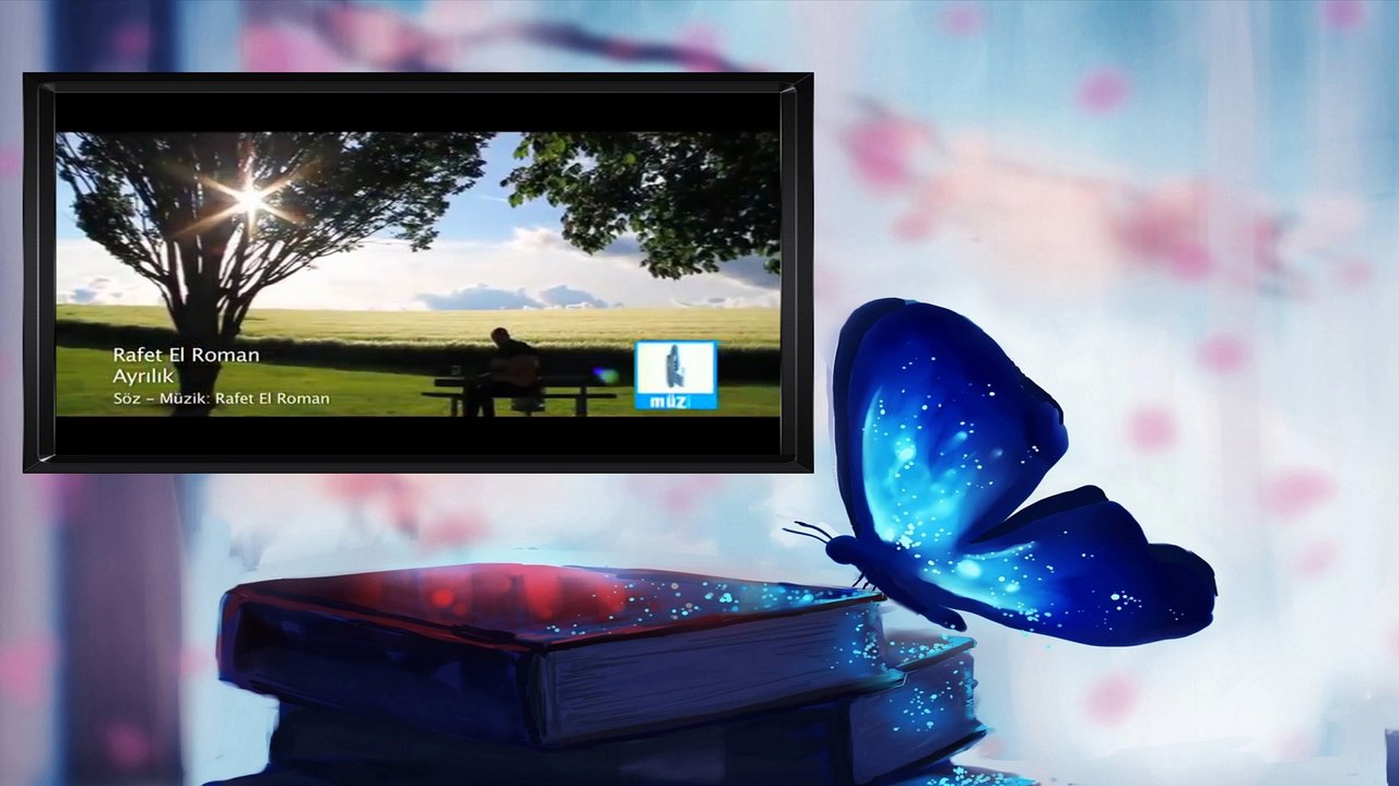 Rafet Elroman Ayrılık