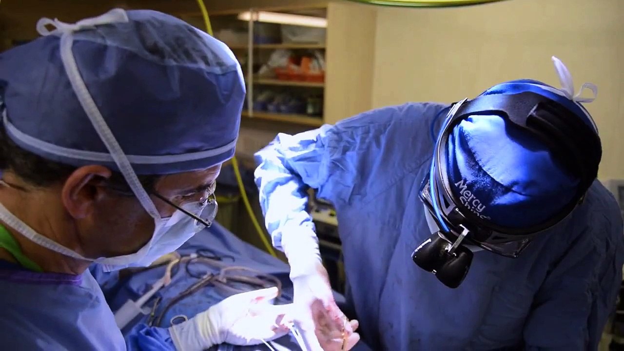 Mercy Ships Overview