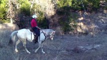 Akhal-Teke Palomino Endurance Gelding Horse For sale, Spirit of Texas Arabians