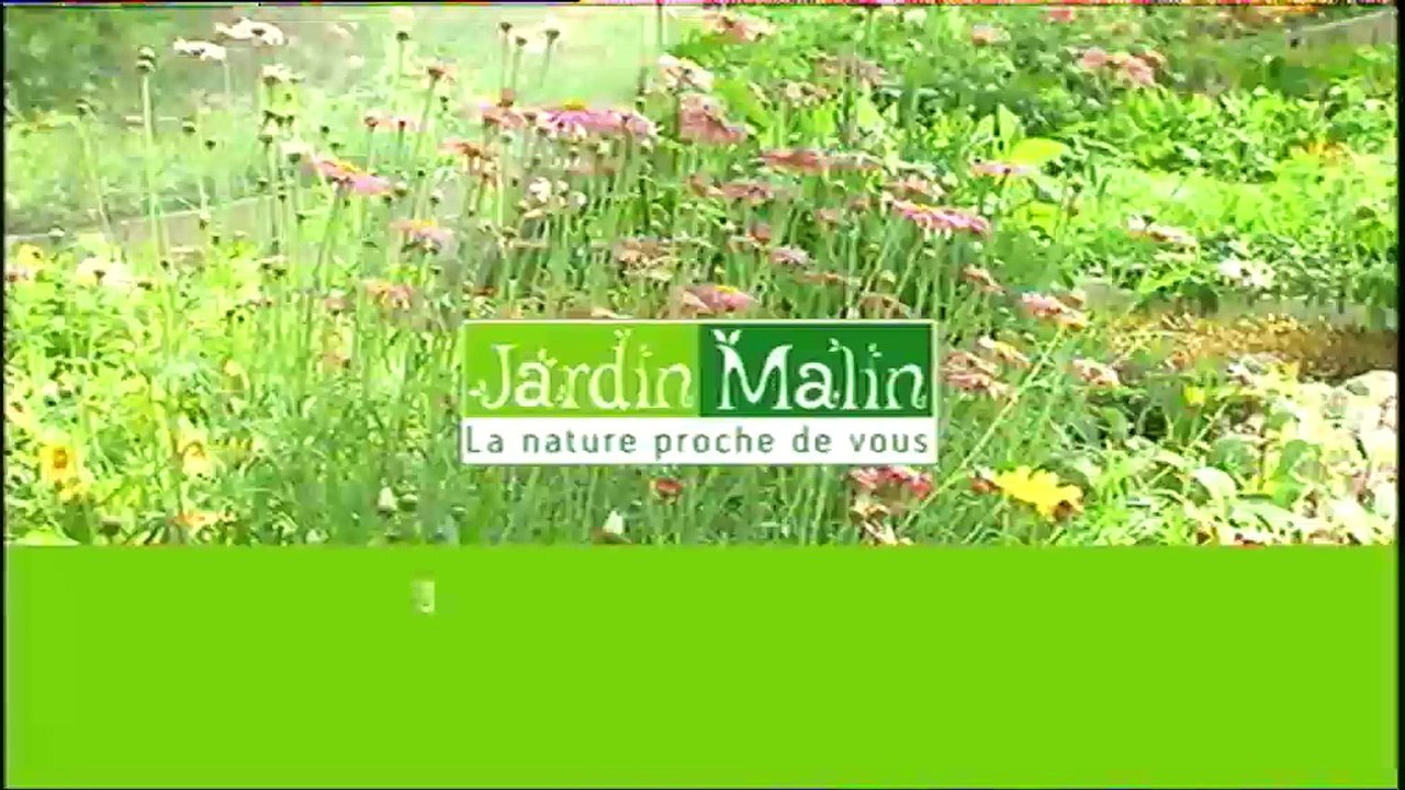 01 Météo du jour