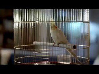 ANKARA MAMAK KOMBİ SERVİSİ = = 279 15 16 ===ARÇELİK