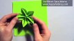 Origami Tutorial: Carambola (Carmen Sprung)