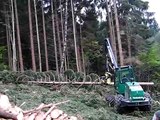 Timber Jack 2