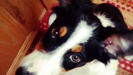 Following Flo- 6 Months Old