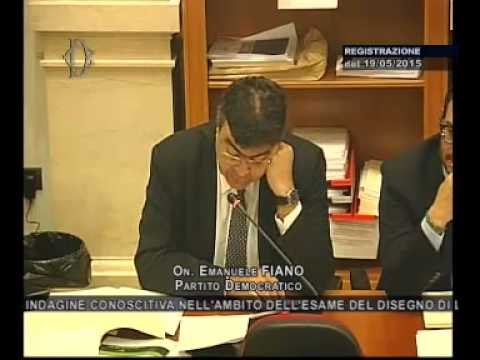 Roma - Audizione Capo Corpo forestale dello Stato, Patrone (19.05.15)