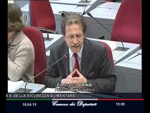 Roma - Carta di Milano , audizione Ministro Martina (16.04.15)