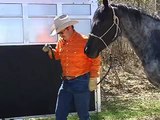 Horse Trailer Loading--Problem Solving Pt I
