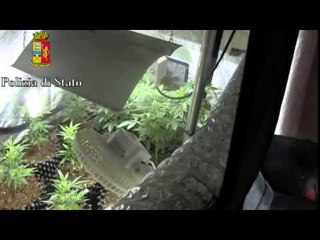 Bergamo - Sequestro coltivazione di marijuana (09.05.15)
