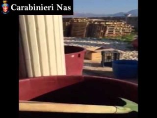 Pescara - Squestrati laboratorio clandestino di conserve e 15 tonnellate di alimenti (27.04.15)