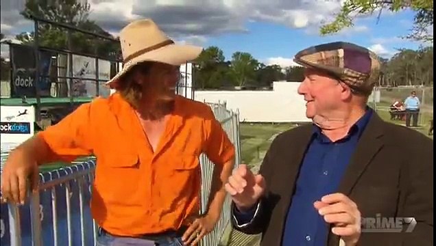 DockDogs featured on Better Homes and Gardens