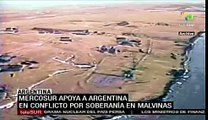 Mercosur apoya a Argentina en conflicto de Islas Malvinas