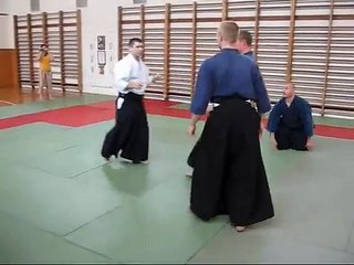 Aikido seminar - Zalaegerszeg - Taninzu gake