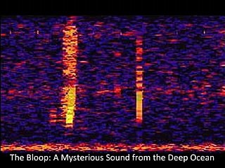 Ces sons mystérieux n'ont aucune solution scientifique