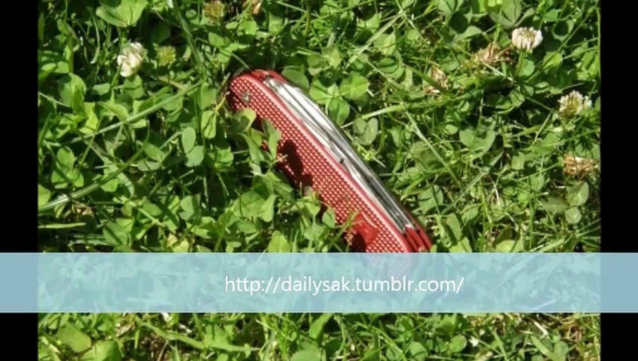 Scyzoryk Alox SAK zmodyfikowany przez 'ALM' z Polski