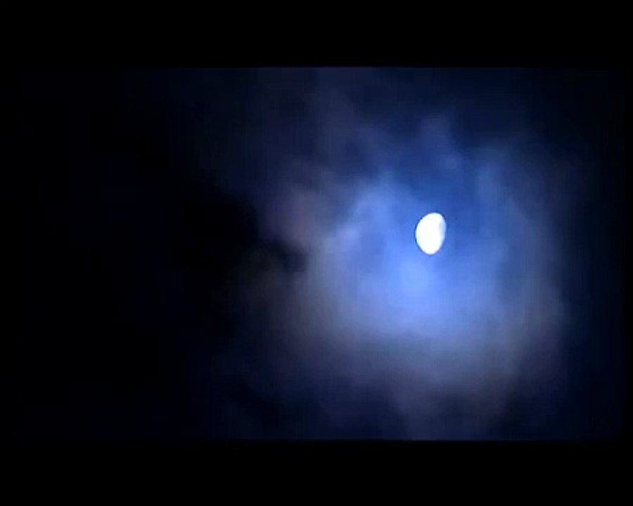 وحوش برلين.. الثلاثاء 25 فبرايرعلى الجزيرة الوثائقية