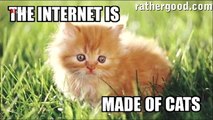 Warum Katzen das Internet bevölkern - Pixelmacher 2012-08-14