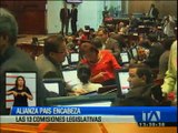 Alianza País encabeza las 13 comisiones legislativas