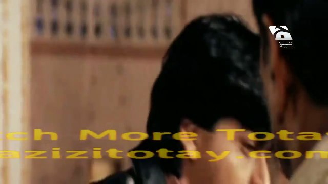 Shah Rukh Khan Ki Pitaai New Tezabi Totay