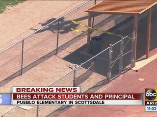 Bees attack students at Scottsdale school