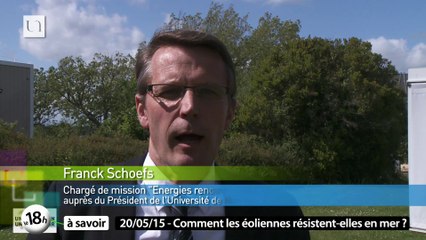 Comme un arbre dans la ville