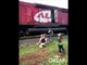 Un père et son fils se font percuter par un train pour avoir voulu prendre une photo