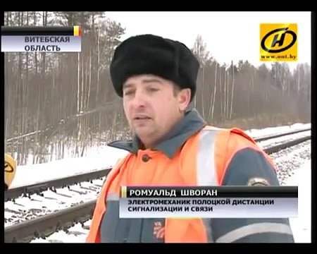 Охотничья лайка четвёртый месяц ждёт хозяина