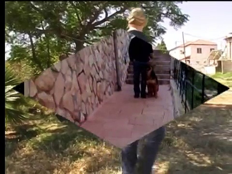 מאיר המאלף 054-334-64-94