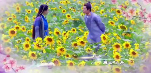 Question the World 问世间 Viann Zhang 李莫愁 (Li Mo Chou)