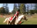 Palomino Welsh Mare Pony / Horse for sale, Brisbane, Qld Australia.