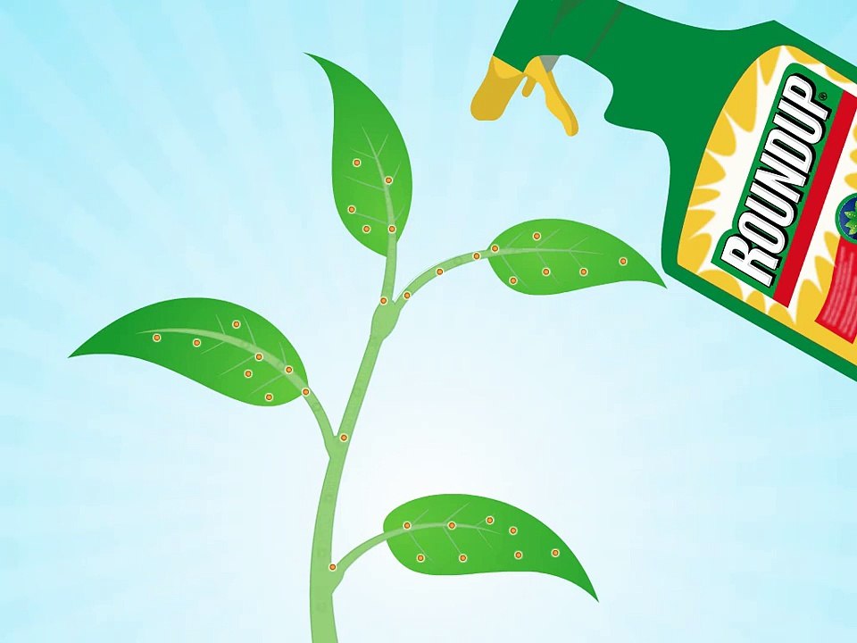 5. How does Roundup work? - video Dailymotion