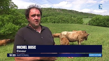 De l'éleveur au consommateur : les atouts de la vente directe