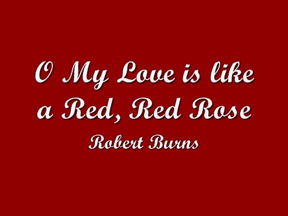 My Love is like a Red, Red Rose- Robert Burns