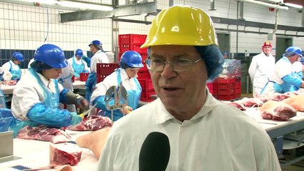 NVWA: Slimmer toezicht in varkensslachterijen