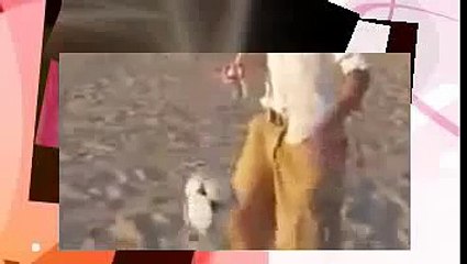 FUNNY Amazing David Beckham 3 shoot ball in 3