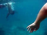 Swimming with Galapagos Sea Lions - 1