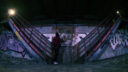 FAUVE ≠ MODERAT  /  Clip