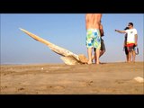 Surfing Morocco|Sahara Surf|Surfing Dakhla|Surf guide Taghazout