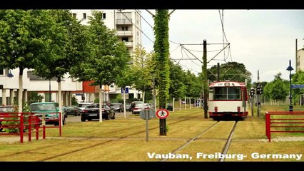 Mohammad Asfour at TEDxAmman: عمان: رسالة خضراء